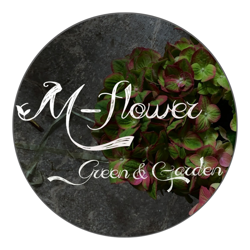 なんでも聞いてください！
よろしくお願いします。