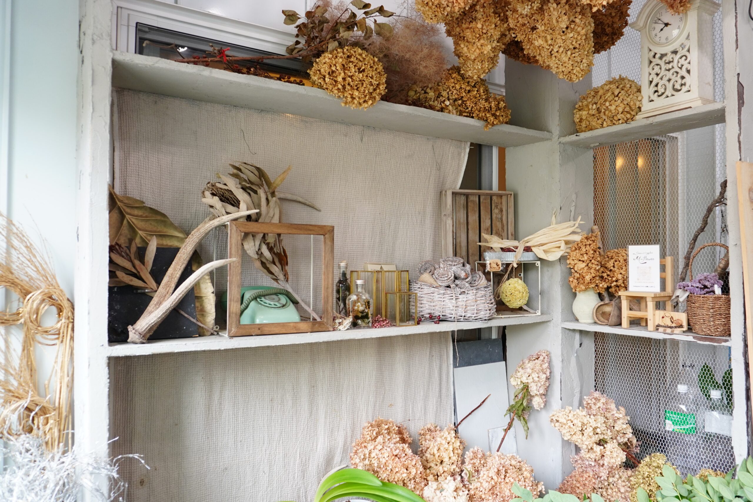 M-flower green&garden